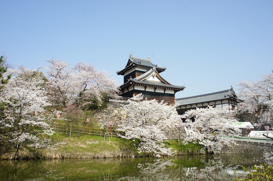 🏯 고리야마 성터(코리야마조아토) 이미지 3